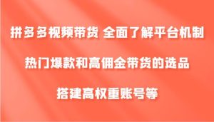 拼多多视频带货 全面了解平台机制、热门爆款和高佣金带货的选品，搭建高权重账号等-吾藏分享