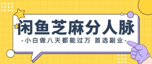 闲鱼芝麻分人脉，小白做八天，都能过万！首选副业！-吾藏分享