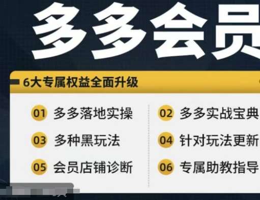 拼多多会员，拼多多实战宝典+实战落地实操，从新手到高阶内容全面覆盖-吾藏分享