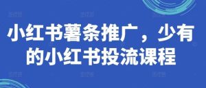 小红书薯条推广，少有的小红书投流课程-吾藏分享