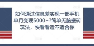 如何通过信息差实现一部手机单月变现5000+?简单无脑搬砖玩法，快看看适不适合你【揭秘】-吾藏分享