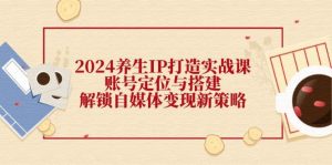 2024养生IP打造实战课：账号定位与搭建，解锁自媒体变现新策略-吾藏分享