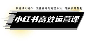 小红书高效运营课：掌握爆文制作、流量提升与变现方法，轻松实现盈利-吾藏分享