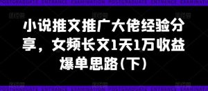 小说推文推广大佬经验分享，女频长文1天1万收益爆单思路(下)-吾藏分享