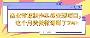 商业微课制作实战变现项目，这个月我做微课赚了2W+-吾藏分享