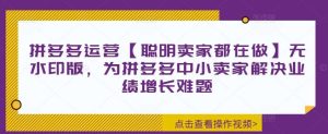 拼多多运营【聪明卖家都在做】无水印版，为拼多多中小卖家解决业绩增长难题-吾藏分享