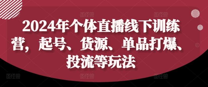 2024年个体直播训练营，起号、货源、单品打爆、投流等玩法-吾藏分享