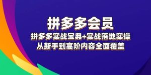 拼多多 会员，拼多多实战宝典+实战落地实操，从新手到高阶内容全面覆盖-吾藏分享