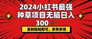 2024小红书最强种草项目，无脑日入300+，复制粘帖即可，多劳多得-吾藏分享