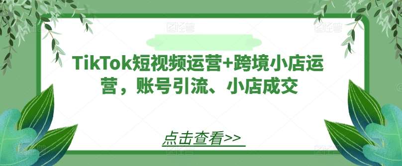 TikTok短视频运营+跨境小店运营，账号引流、小店成交-吾藏分享