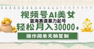 视频号AI美女跳舞，轻松月入30000+，蓝海赛道，流量池巨大，起号猛，无…-吾藏分享