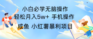 全网首发2024最暴利手机操作项目，简单无脑操作，每单利润最少500+-吾藏分享