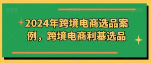 2024年跨境电商选品案例，跨境电商利基选品（更新）-吾藏分享