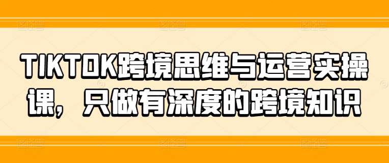 TIKTOK跨境思维与运营实操课，只做有深度的跨境知识-吾藏分享