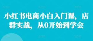 小红书电商小白入门课，店群实战，从0开始到学会-吾藏分享