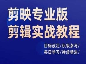 剪映专业版剪辑实战教程，目标设定/积极参与/每日学习/持续精进-吾藏分享