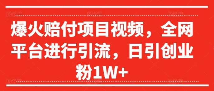 爆火赔付项目视频，全网平台进行引流，日引创业粉1W+【揭秘】-吾藏分享