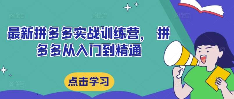 最新拼多多实战训练营， 拼多多从入门到精通-吾藏分享