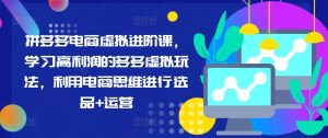 拼多多电商虚拟进阶课，学习高利润的多多虚拟玩法，利用电商思维进行选品+运营-吾藏分享