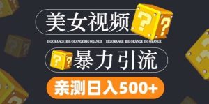 搬运tk美女视频全网分发，日引s粉300+，轻松变现，不限流量不封号【揭秘】-吾藏分享