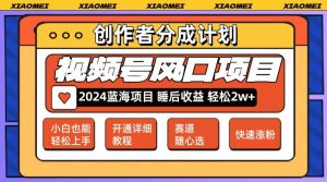 微信视频号大风口项目 轻松月入2w+ 多赛道选择，可矩阵，玩法简单轻松上手-吾藏分享