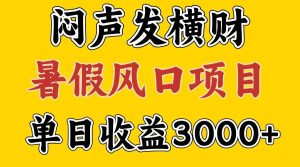 30天赚了7.5W 暑假风口项目，比较好学，2天左右上手-吾藏分享