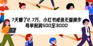 7天收了2.7万，小红书咸鱼无脑操作，每单利润500至3000-吾藏分享