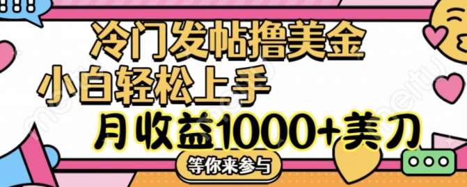 冷门发帖撸美金项目，月收益1000+美金，简单无脑，干就完了【揭秘】-吾藏分享