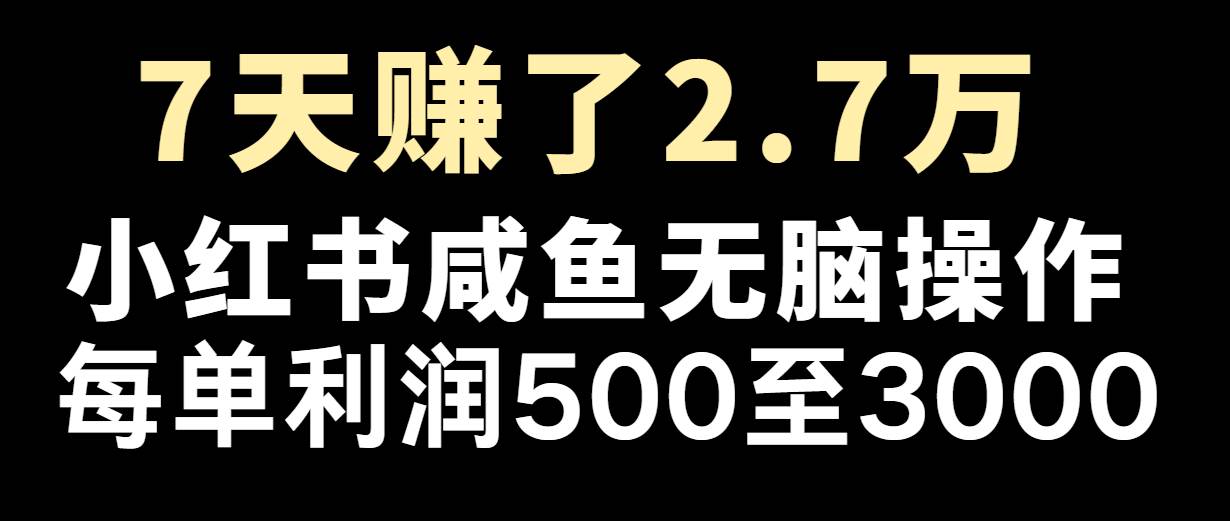 七天赚了2.7万！每单利润最少500+，轻松月入5万+小白有手就行-吾藏分享