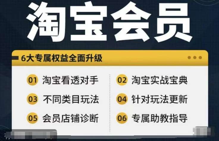 淘宝会员【淘宝所有课程，全面分析对手】，初级到高手全系实战宝典-吾藏分享