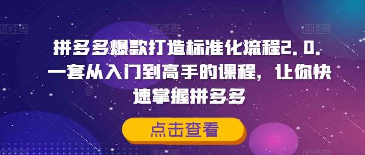 拼多多爆款打造标准化流程2.0，一套从入门到高手的课程，让你快速掌握拼多多-吾藏分享