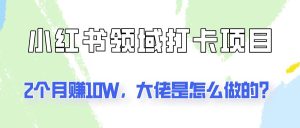 通过小红书领域打卡项目2个月赚10W，大佬是怎么做的？-吾藏分享