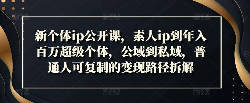 新个体ip公开课，素人ip到年入百万超级个体，公域到私域，普通人可复制的变现路径拆解-吾藏分享