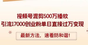 精华帖视频号混剪500万播放引流17000创业粉，单日直接过万变现，最新方…-吾藏分享