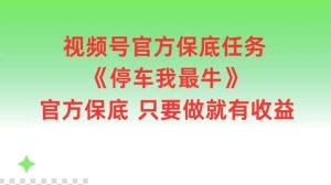 视频号官方保底任务，停车我最牛，官方保底只要做就有收益【揭秘】-吾藏分享