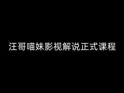 汪哥影视解说正式课程：剪映/PR教学/视解说剪辑5大黄金法则/全流程剪辑7把利器等等-吾藏分享