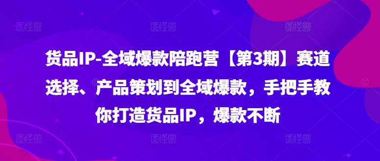 货品IP全域爆款陪跑营【第3期】赛道选择、产品策划到全域爆款，手把手教你打造货品IP，爆款不断-吾藏分享