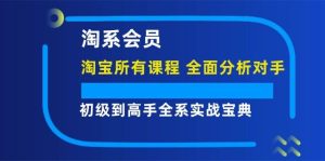 淘系会员【淘宝所有课程，全面分析对手】，初级到高手全系实战宝典-吾藏分享