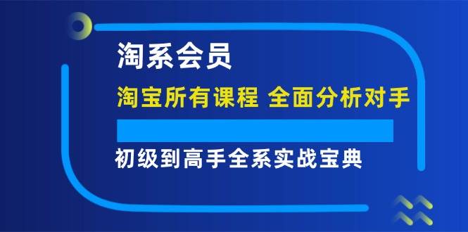 淘系会员【淘宝所有课程，全面分析对手】，初级到高手全系实战宝典-吾藏分享