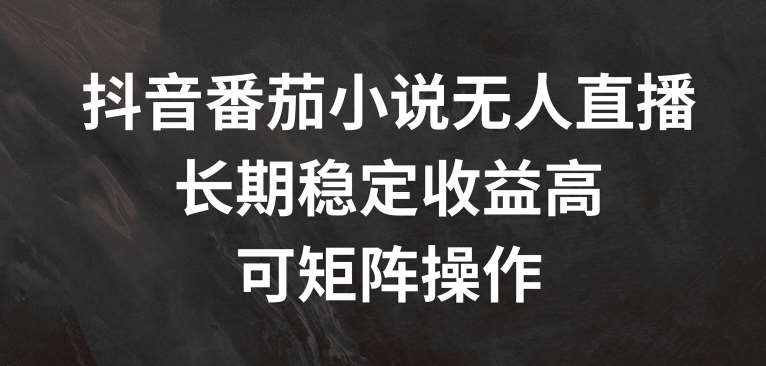 抖音番茄小说无人直播，长期稳定收益高，可矩阵操作【揭秘】-吾藏分享