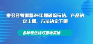 拼多多特训营24年爆破流玩法，产品决定上限，方法决定下限，各种玩法技巧落地实操-吾藏分享