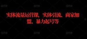 实体流量运营课，实体引流、商家加盟、暴力起号等-吾藏分享