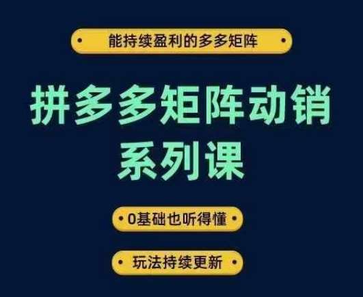 拼多多矩阵动销系列课，能持续盈利的多多矩阵，0基础也听得懂，玩法持续更新-吾藏分享