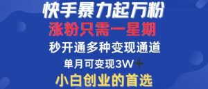 快手暴力起万粉，涨粉只需一星期，多种变现模式，直接秒开万合，单月变现过W【揭秘】-吾藏分享