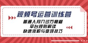 视频号运营训练营：普通人月入过万秘籍，平台规则解读，快速涨粉与变现-吾藏分享