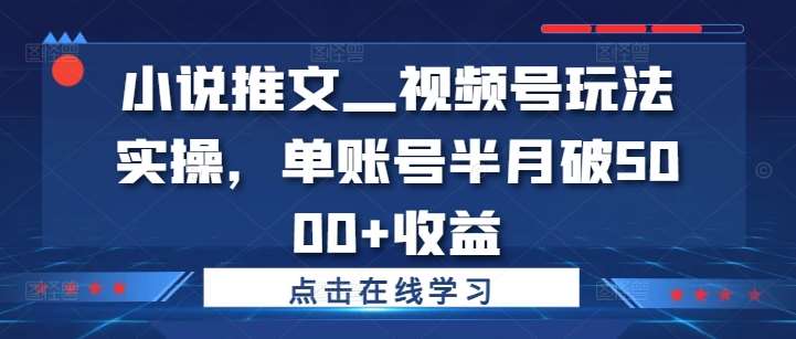 小说推文—视频号玩法实操，单账号半月破5000+收益-吾藏分享