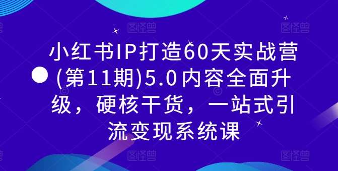 小红书IP打造60天实战营(第11期)5.0​内容全面升级，硬核干货，一站式引流变现系统课-吾藏分享