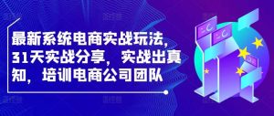 最新系统电商实战玩法，31天实战分享，实战出真知，培训电商公司团队-吾藏分享