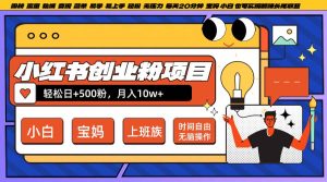 小红书创业粉日+500，月入10W+，无脑操作，每天20分钟-吾藏分享