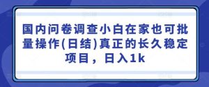 国内问卷调查小白在家也可批量操作(日结)真正的长久稳定项目，日入1k【揭秘】-吾藏分享